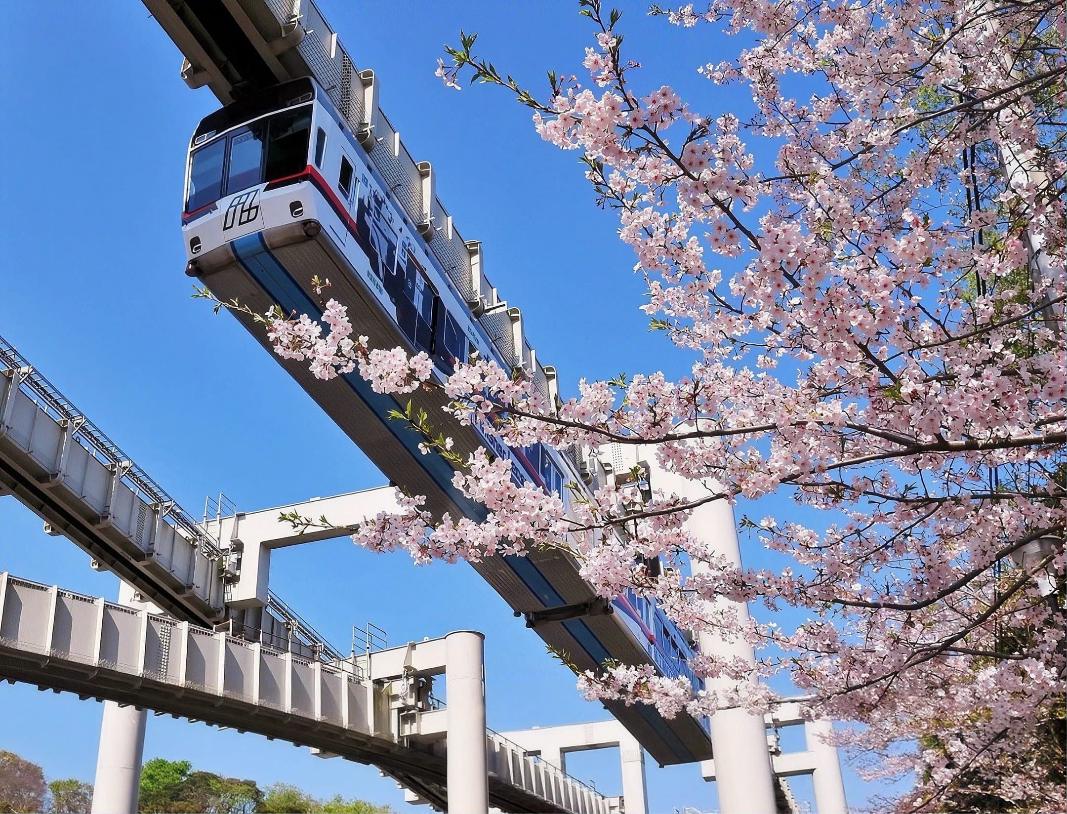 本社
